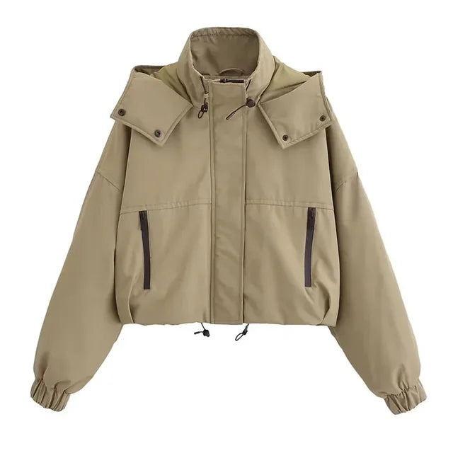 Hooded jacket and cotton jacket